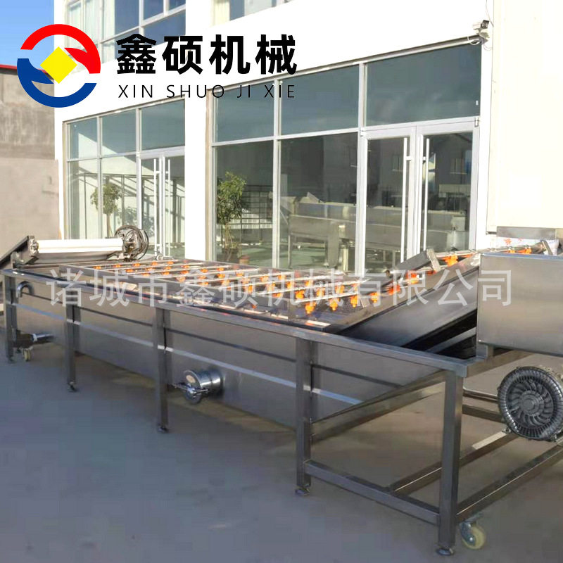 毛豆毛辊清洗机 水果蔬菜气泡清洗风干流水线 鑫硕豆角清洗漂烫机图片