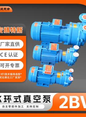冀真2BV水环式真空泵铸铁不锈钢316防爆工业抽真空液环泵博远泵业