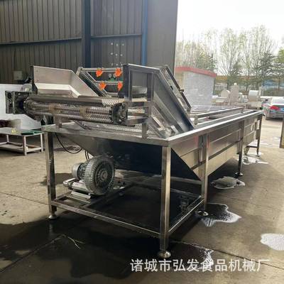 续式气泡清洗机笋竹DKW菜蔬菜清连洗流水线水果高压喷淋清洗芹机