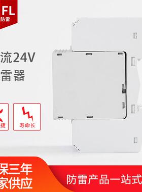 电家供应24直流电源电涌保护厂器V直流防雷2P避雷器源YPFL-DC2浪