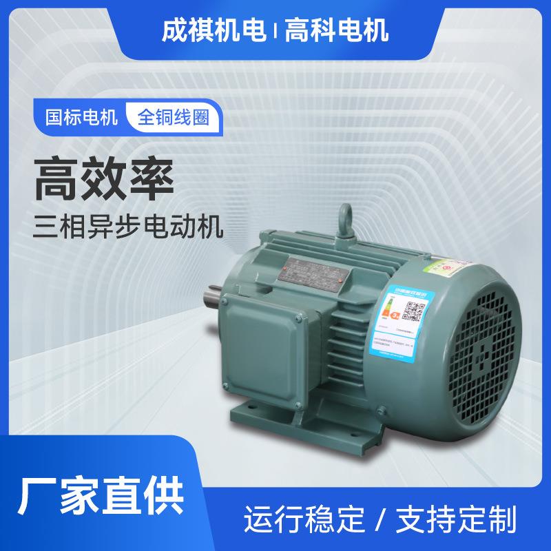 YE4系列高效率三相异步电动机 立式卧式高效节能电机高效率电动机