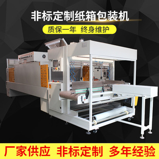 纸箱包装机 专业定制非标纸箱包装机 打包机 全自动纸箱装箱机