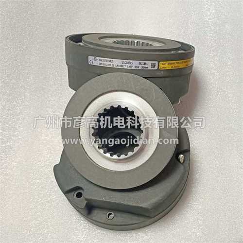 NM38753NR2 100/891.070.1S LR108927 180V 82W 200NM科尼刹车器