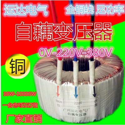 环形自耦变压器 110V转220V 850W900W950W1000W1200W1500W(VA)