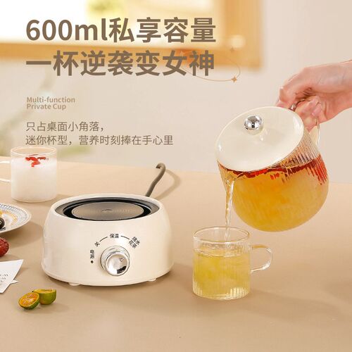 养生壶家用多功能玻璃煮茶器烧水花茶壶小型办公室保温迷你电炖杯
