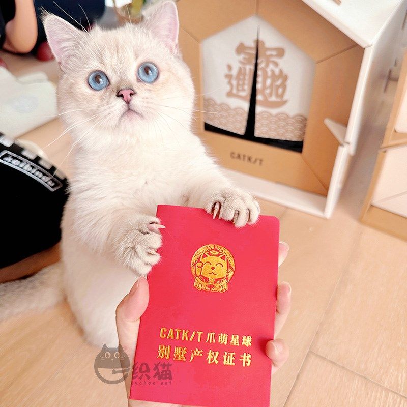 一织猫 日系简约风纸箱猫窝 瓦楞纸猫抓板全封闭猫屋猫别墅产房