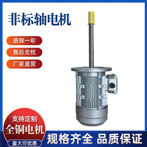 YE3/YS三h相异步电机长轴电机非标电机1400/2800转定做非标轴