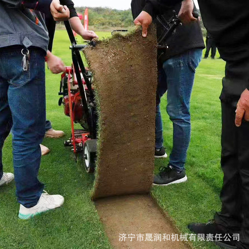 手推式草坪起草皮机汽油动力铲草皮机公园草坪移植用起草皮机