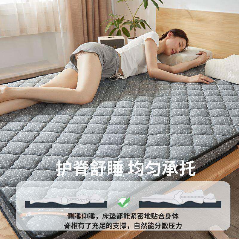 家用天然椰棕床垫折叠人棕垫硬胶垫榻榻米乳床593垫用家双床棕榈