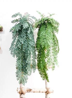 仿真橄榄叶挂假子豆槐叶壁大枝橄榄枝装饰植物树叶绿植墙面挂壁花