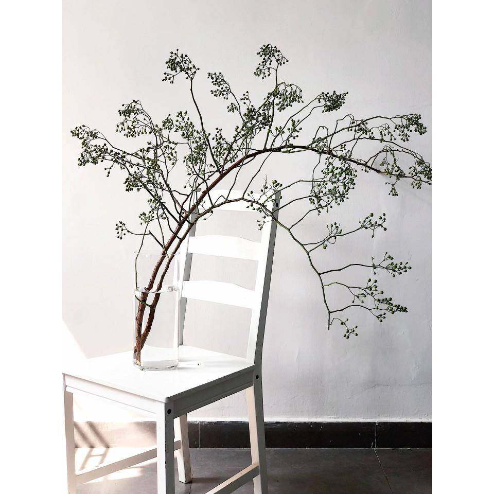 ins风山归来条垂感蔷鲜HAS花材花又明薇果高级感花材小众稀有藤花