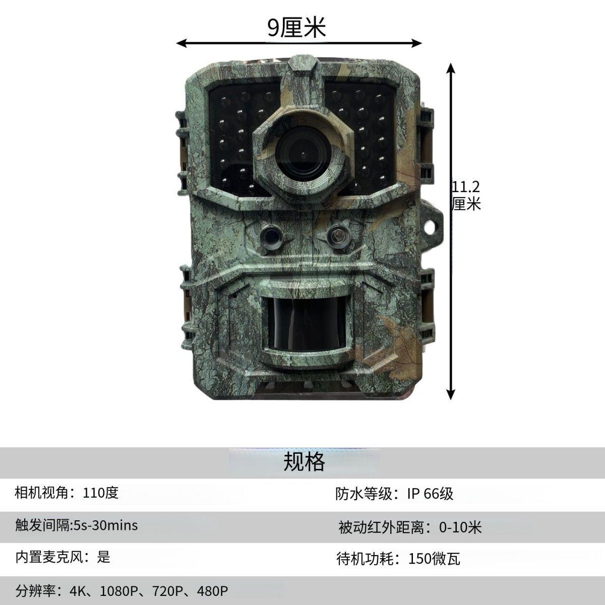 果园森林野外户外养殖鱼