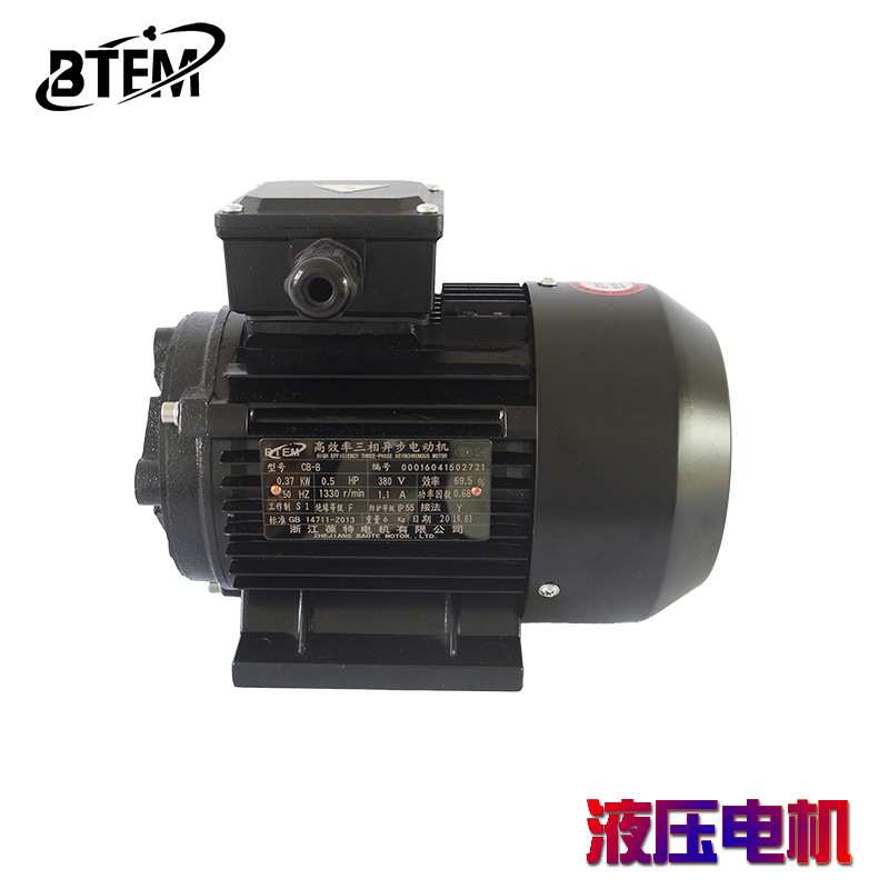 三相异步电机齿轮油泵CB-B/HGP1A/TOP/BB16国标380V纯铜马达