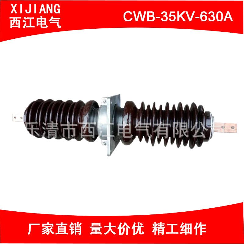 厂家供应高压穿墙套管CWB-35kV-630A扁铜排陶瓷高压穿墙套管