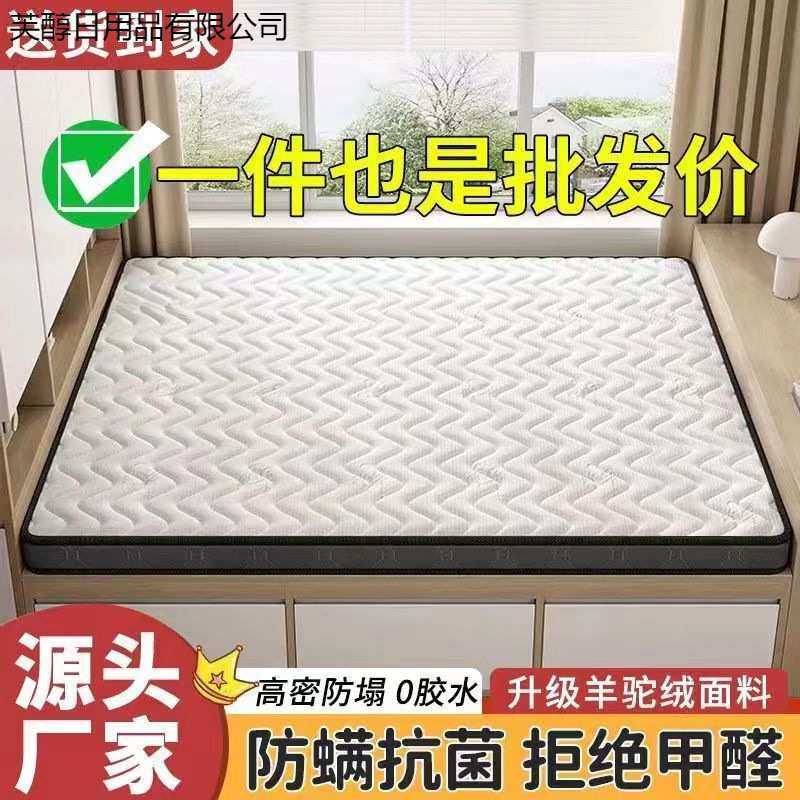 跨境新款榻榻米床垫尺寸乳胶椰棕塌塌米垫子软垫家用卧室专用床垫