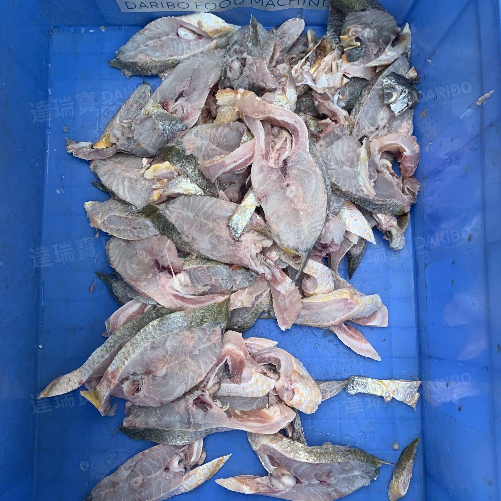 W水产加工设备鱼肉切片机切段机企业公司食堂加工鱼段机斜切直切