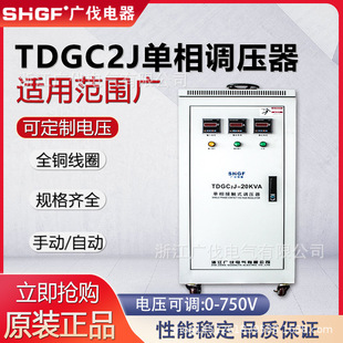 300V 500V 广伐隔离调压器 可调 20KVA 750V 1000V TDGC2J