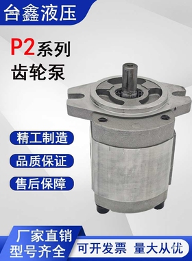 高压液压齿轮泵油泵P204RT01DT/P208RT01DT/P211/P214/P216/P219