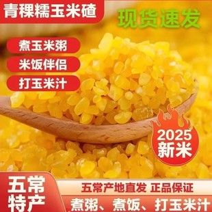 东北五常青稞糯玉米碴当季新玉米现磨东北玉米碴子黏粘玉米大碴子