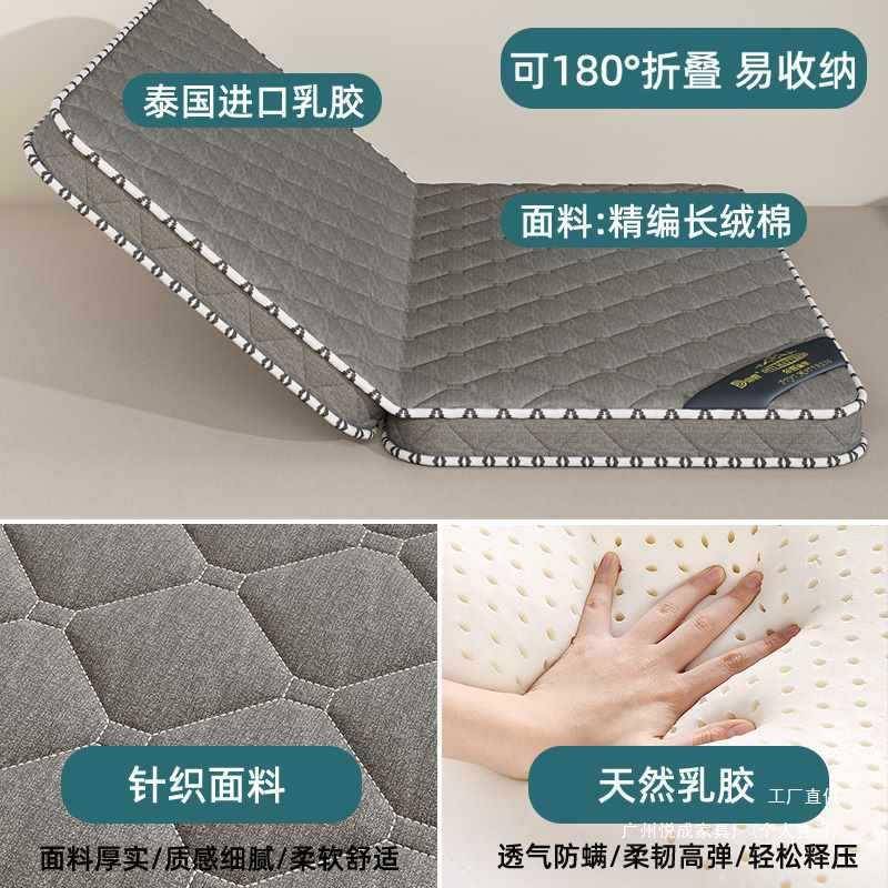 天然椰席棕儿榈床垫EHO硬垫子家用卧室榻童榻米折叠软梦思出租房图片