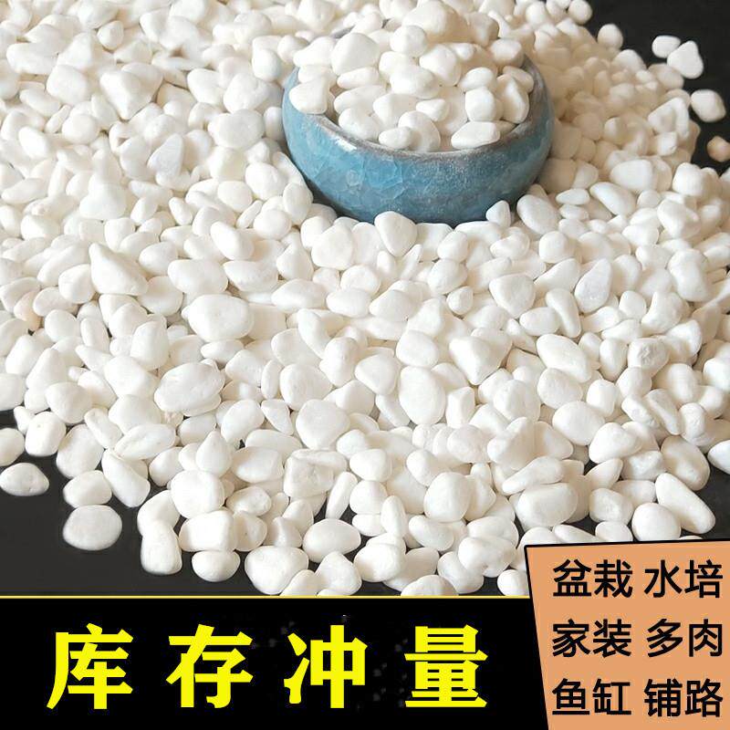 路面装饰性观赏花庭院白色20210408鱼土缸白石子园壤小石头地面个