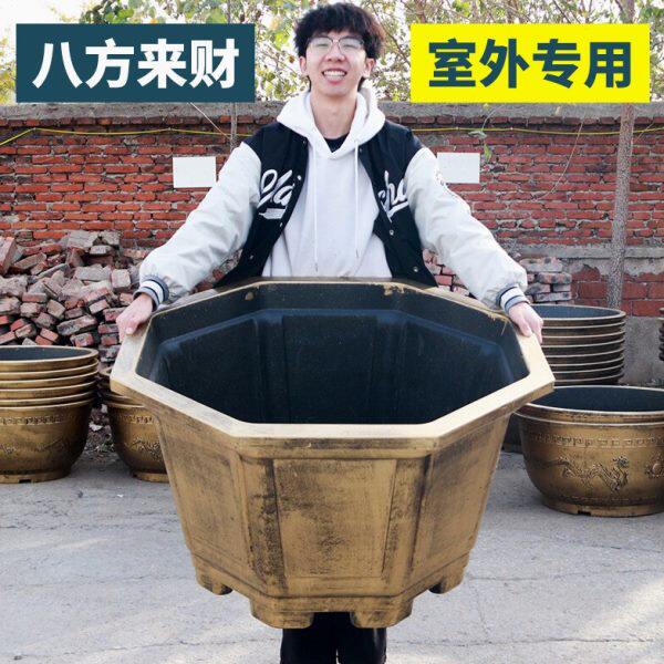 古法养鱼造景套餐家里老式户外招财乌龟缸特大花盆睡莲荷花鱼池室