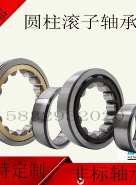 精密二类圆柱滚子轴承NJ NU238 240 244 248 E EM C3电机振动筛用