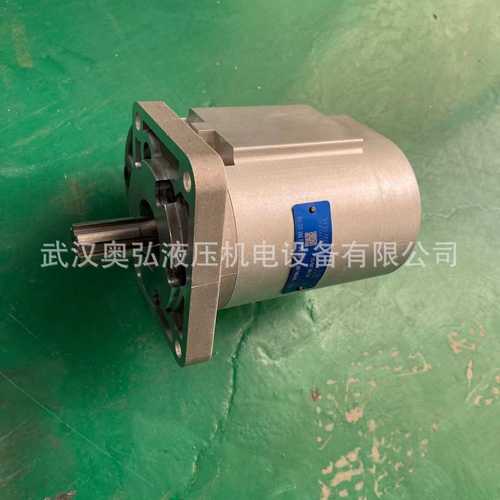 CBNZQ-F550-BLHL合肥长源齿轮泵后进后出油口，液压站，油缸，