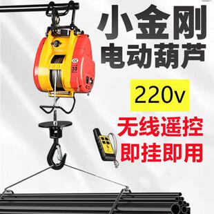 小金刚电动葫芦便携式家用起吊机220v微型悬挂式钢丝绳起重葫芦