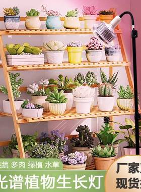 大棚全光谱蔬菜绿多肉补光果水草花花卉物植69830物生长植补光灯