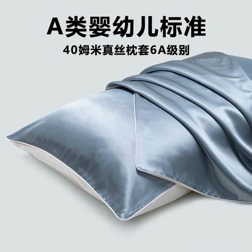 胶I套9EKA类桥本F767H97T物语40姆米真丝枕套桑蚕丝绸枕头乳枕套