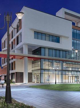 户外ledY3003院灯公市花园政工程道路照明园别墅双头庭三头路灯