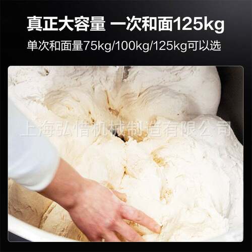 3包/4包/5包粉翻缸和面机 大型搅面机 100kg双速双动和面机 厂家