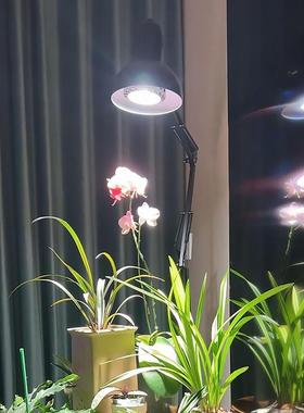3W植物补灯全光谱热带绿光植盆栽生0长灯鱼缸84713落灯地支架