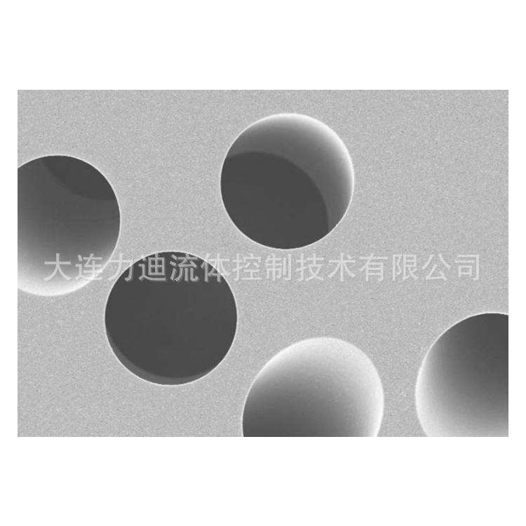 德国SABEU 径迹蚀刻膜和细胞培养小室