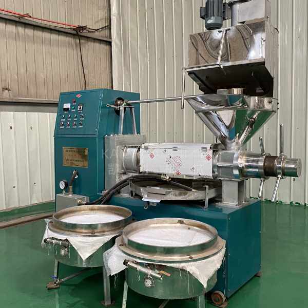 新型冷热两用榨油机 全套全自动榨油设备 油坊用中大型商用炸油机