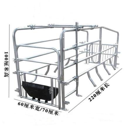 母猪产床 落地式产床 猪用母猪位 热镀锌管产床