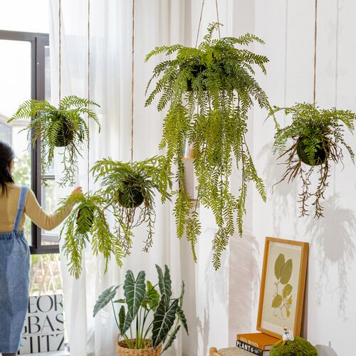 彷真蕨类垂吊假植物室内装u饰壁挂假绿植墙小植物吊挂花卉摆件装