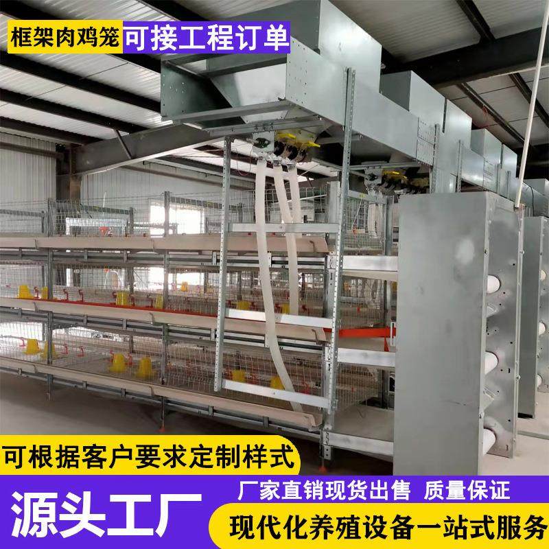 框架肉鸡笼全自动化养殖笼具层叠式肉鸡笼自动化清粪捡蛋肉鸡设备,农机/农具/农膜,农用防护器具,淘宝优惠券,粉丝福利购,淘宝优惠卷