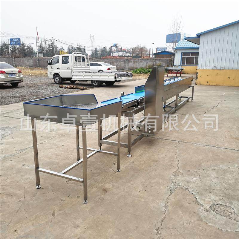 工业流水线动态大闸蟹称重分选机食品药材土豆重量检测设备称重机,清洗/食品/商业设备,果蔬加工设备,淘宝优惠券,粉丝福利购,淘宝优惠卷