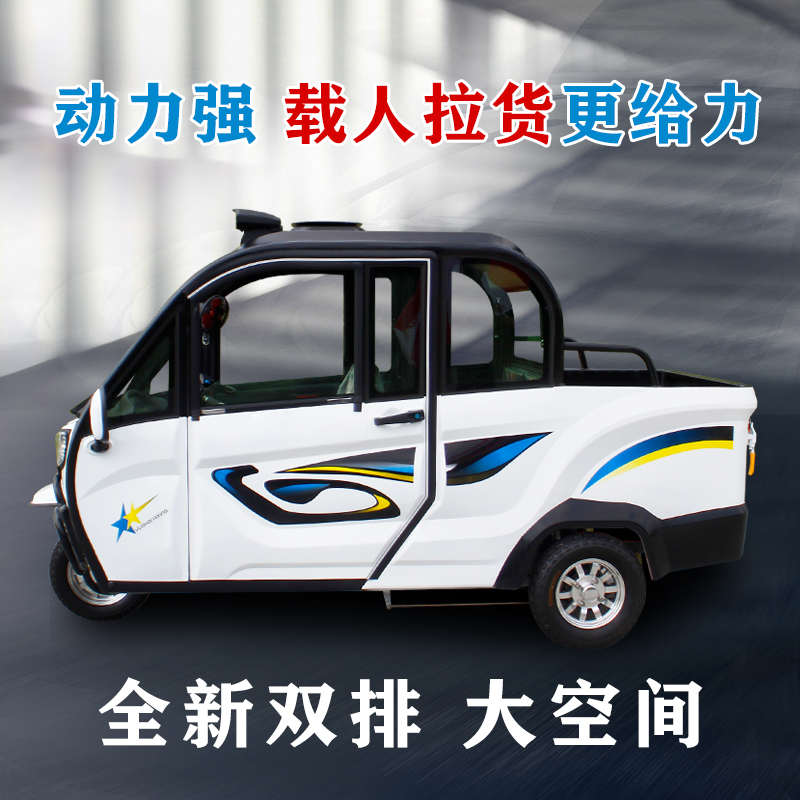 大将新款全封闭电动三轮车家用小型接送孩子带棚拉货老年老人皮