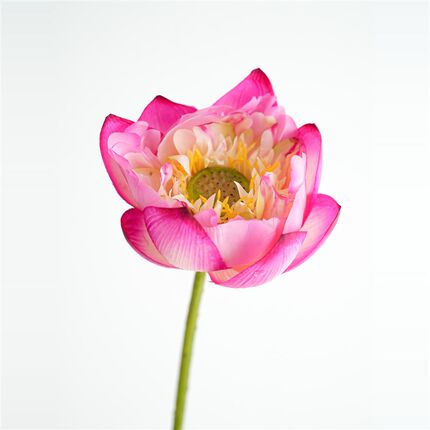 JUNJUN彷真花 荷花 中式莲花 手感高档假花摆件客厅插花 造景装饰