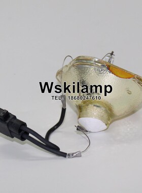 EH-TW3850C/TW5850C/TW3300C/TW5500/TW3500投影灯泡