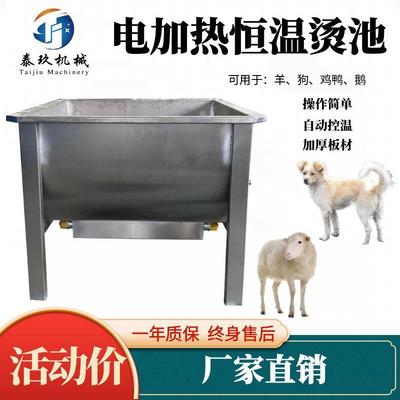 电加热羊烫池屠宰厂自动控温烫毛池子猪头烫毛食用狗脱毛加工设备