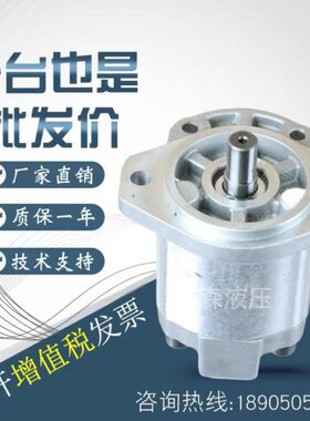 意大利环卫油泵CASAPPA凯斯帕齿轮泵PLP20.14DO-82E2-LEB/EA-N-EL