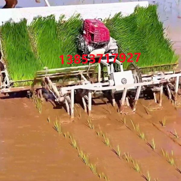 新种地大播机播种器插秧机水稻农用直插全自动神器型秧水稻种农