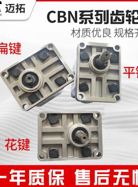 齿轮泵CBN-E310 CBN-E306 CBN-E316 E320 E325 E314 E308 F310