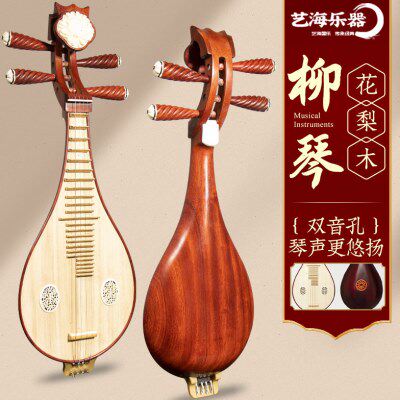 艺海柳琴乐器初学入门专业演出双音孔红木花梨木初学者初级专用琴