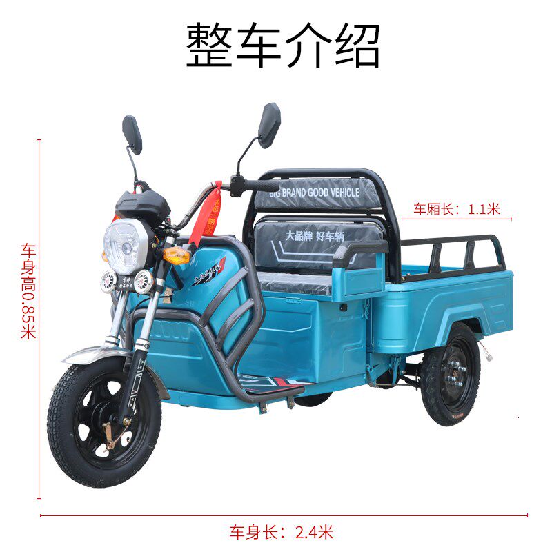 电动三轮车成人小型老人迷你接送孩子货车拉货老年步车三轮新款