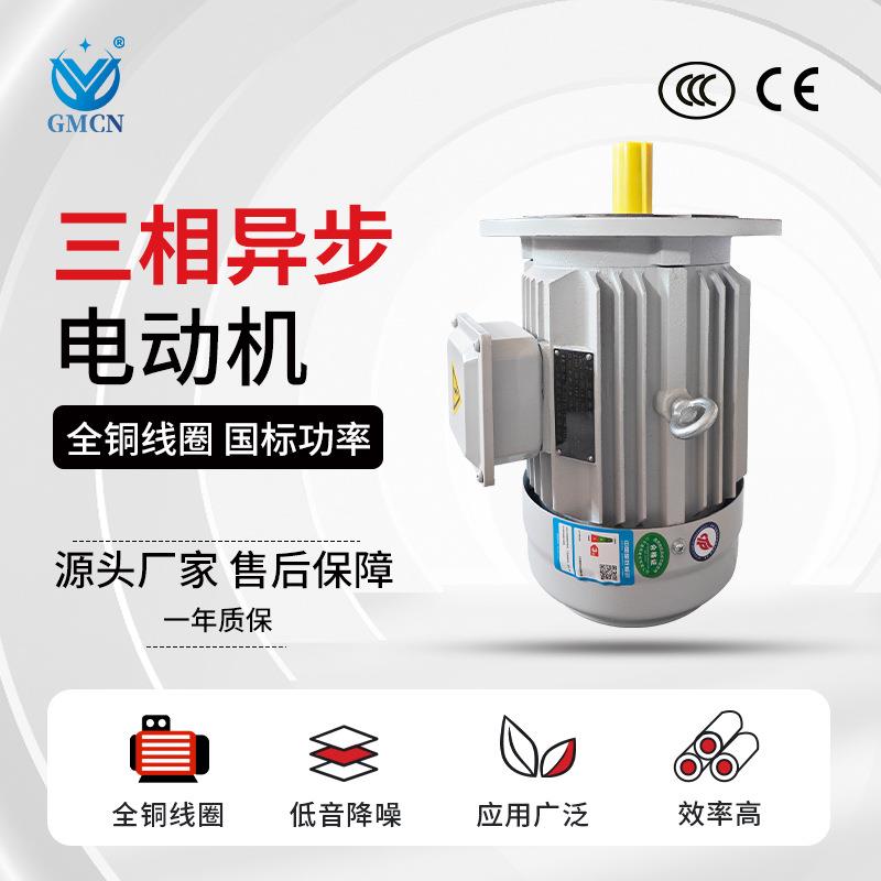 6极三相异步电动机YE3-80M1/M2-6电机0.37W/0.55W380V马达